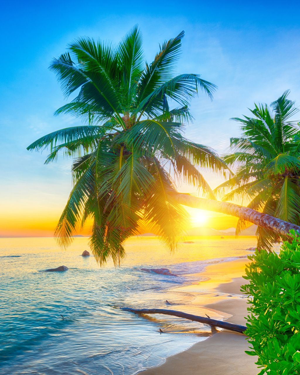 Seychelles