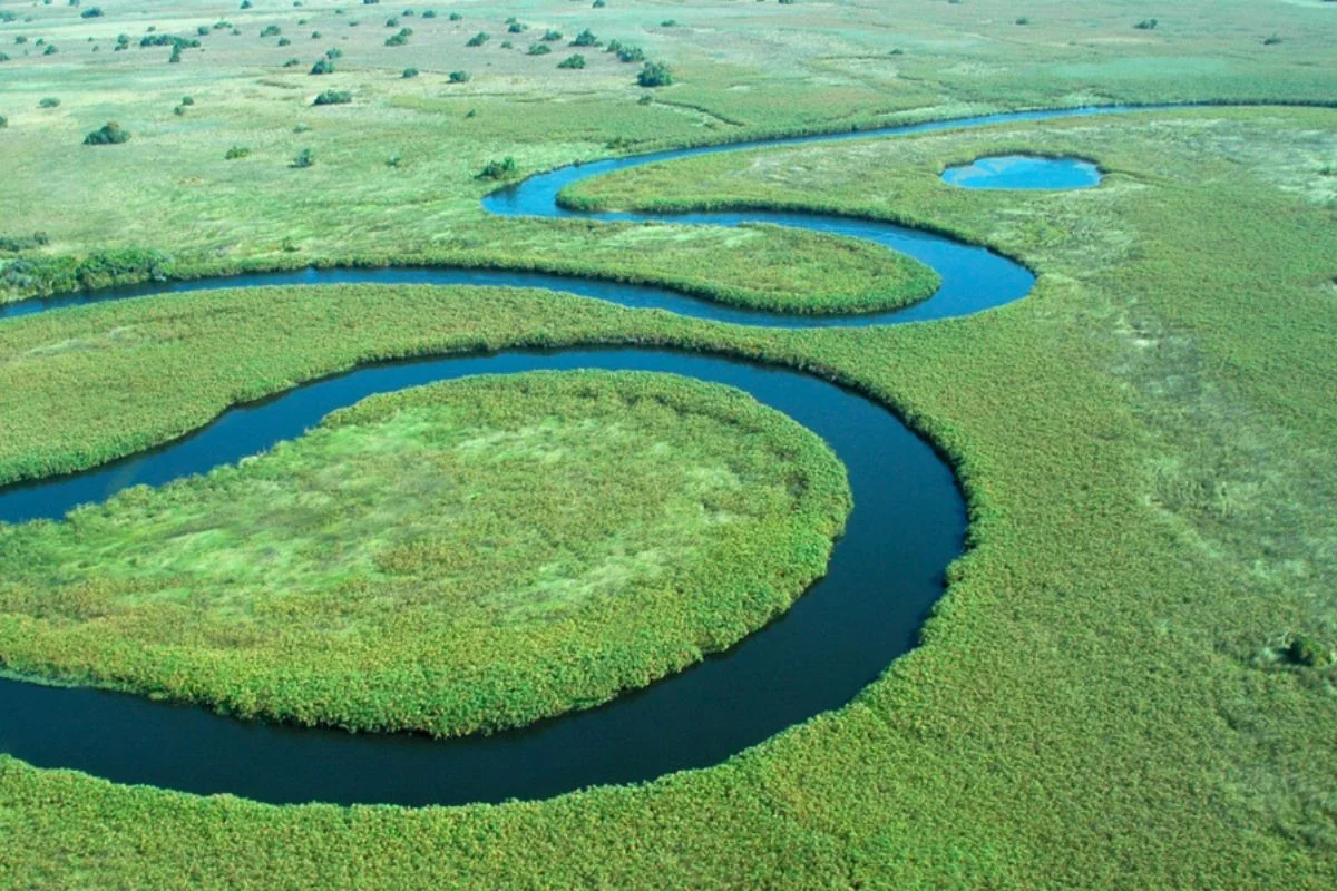 Botswana Honeymoon Safari Guide (2026 / 2027)
