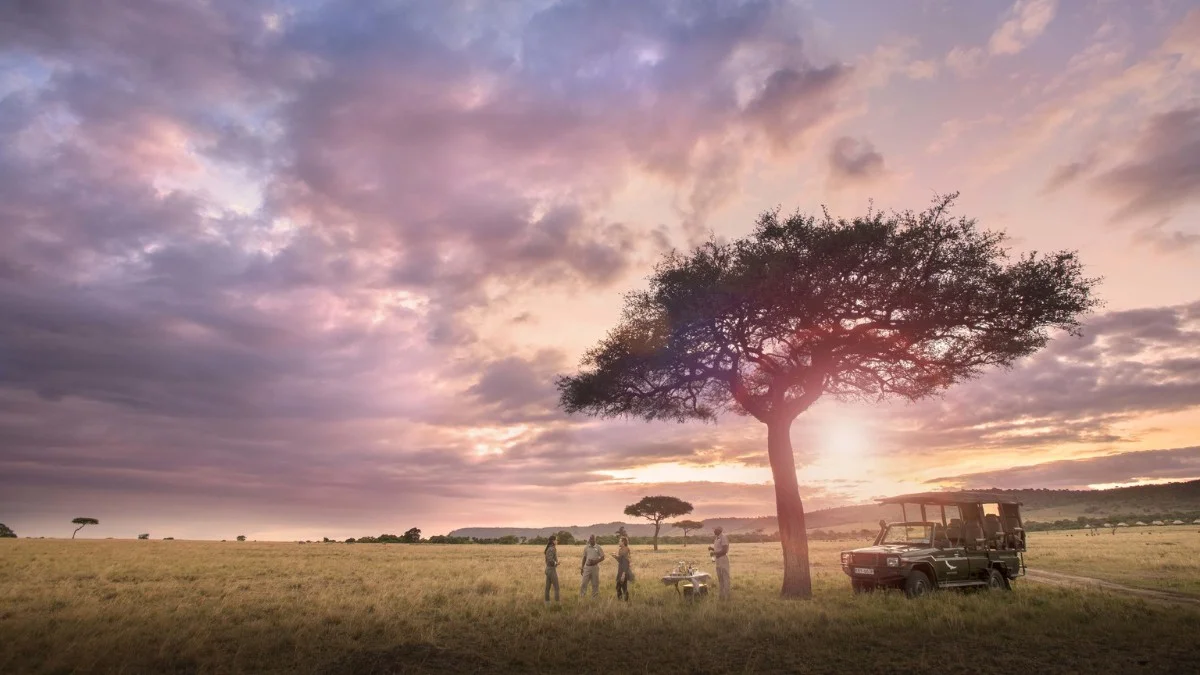 Serengeti Safari