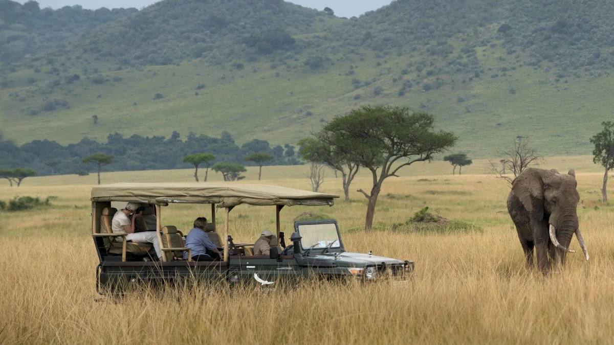 Fly to the Mara
