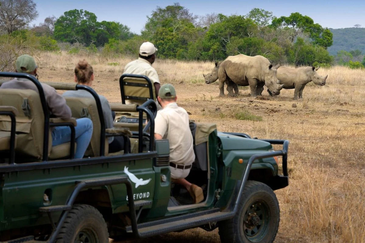 Best Safari Destinations for Families in 2026 / 2027