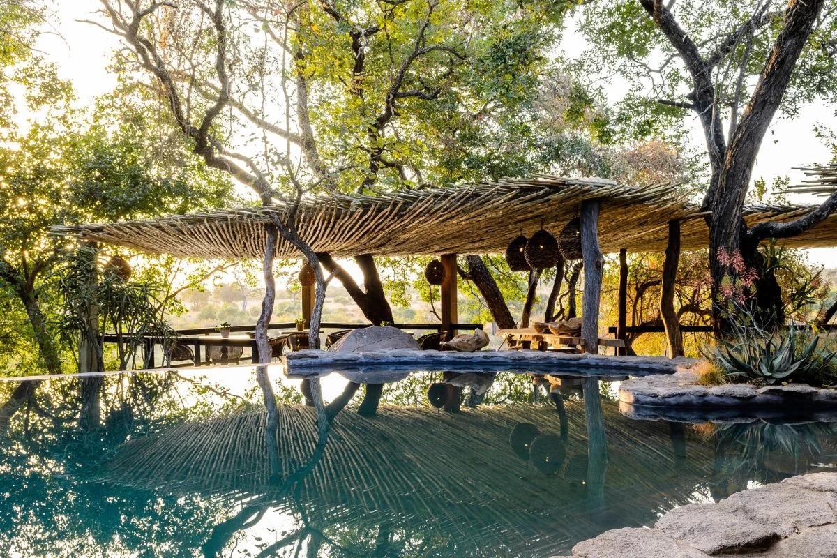 African Safari Pricing Guide for 2026 / 2027 Luxury
