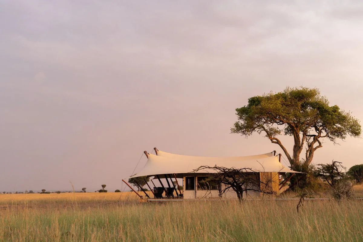 Top 10 Serengeti Luxury Safari Lodges for 2026 / 2027