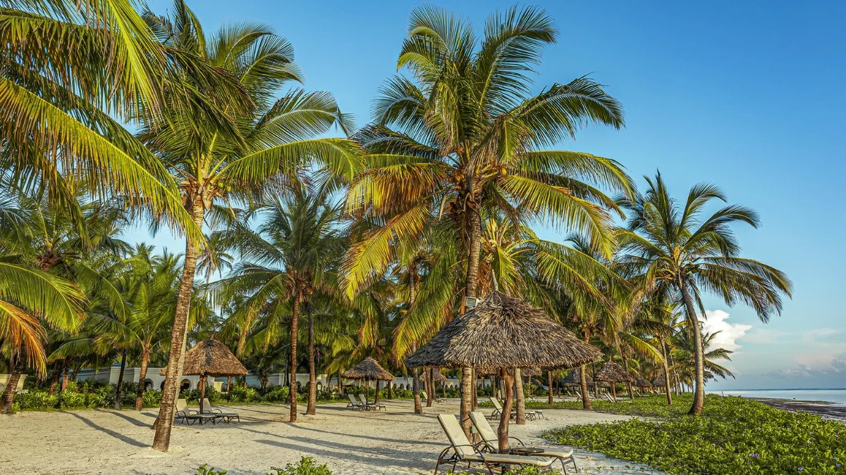 Fly to Zanzibar