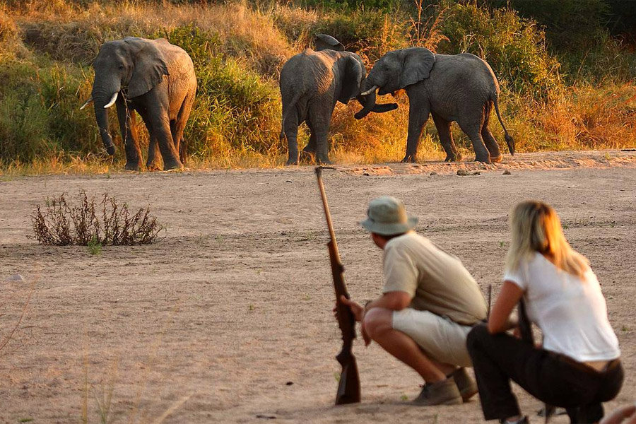5 Best Walking Safari Destinations in Africa for 2026 / 2027