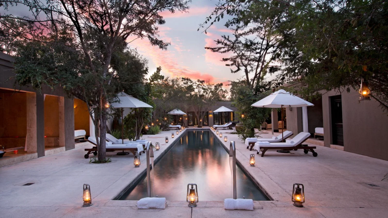 Royal Malewane - Thornybush Private Reserve